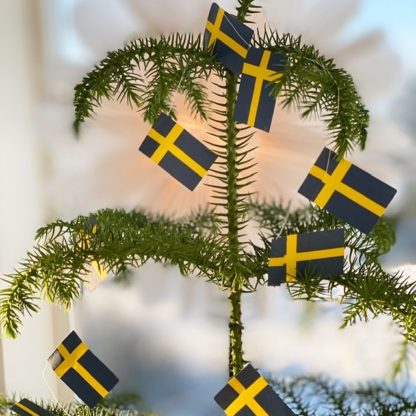 Flaggirlang Sverige - 2 meter