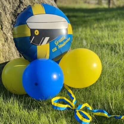 Ballonger 10-p Blå-Gul - 25cm