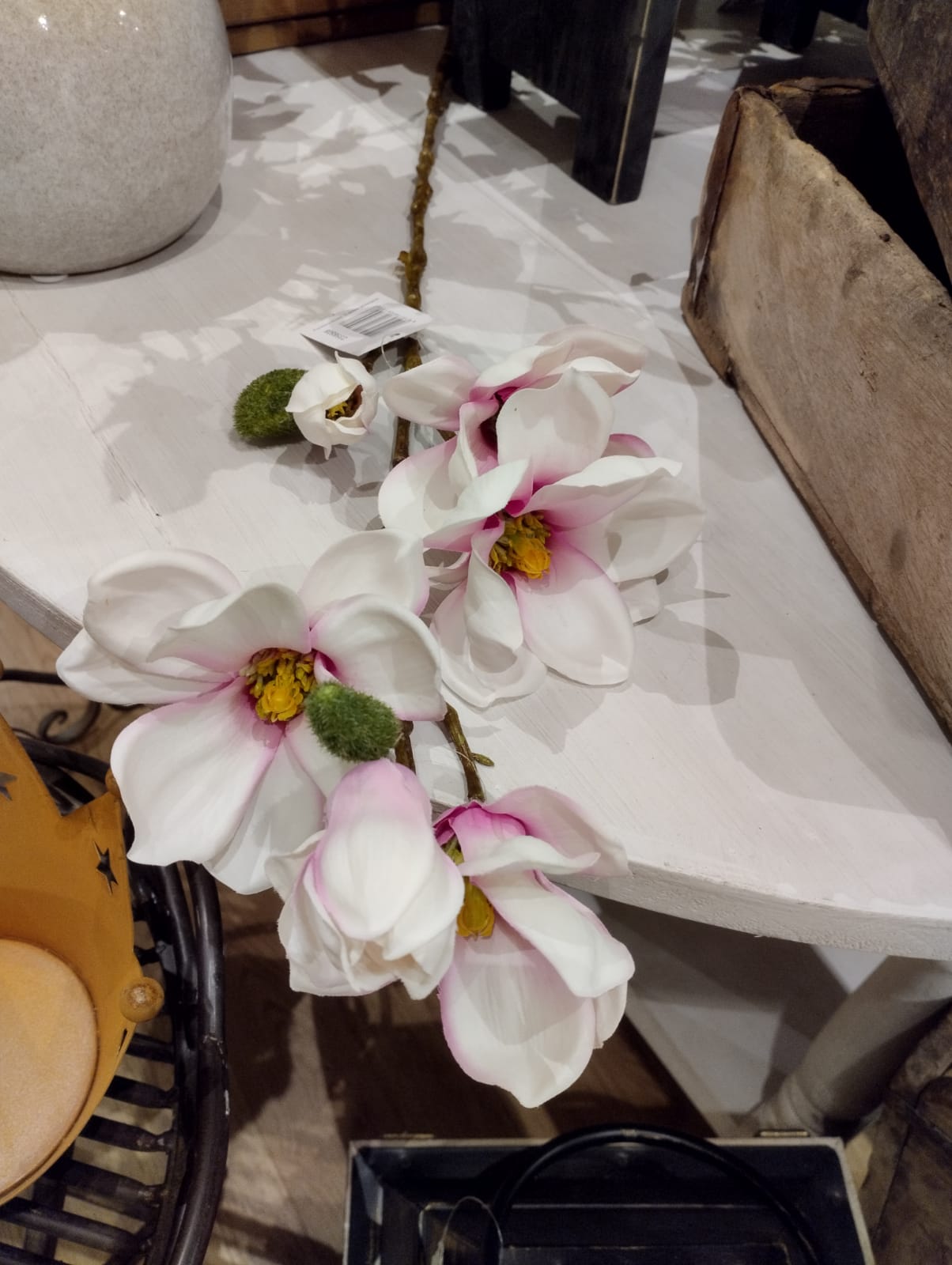 Magnolia / Magnoliakvist - Ljusrosa - 66 cm